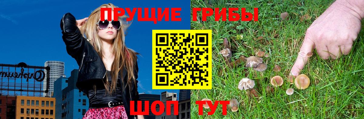 Псилоцибиновые грибы Psilocybine cubensis  Вход с VPN  Лесосибирск  Псилоцибиновые грибы мицелий 